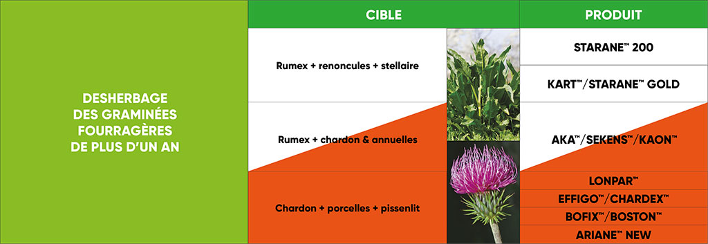 Tableau des intoxications toxiques