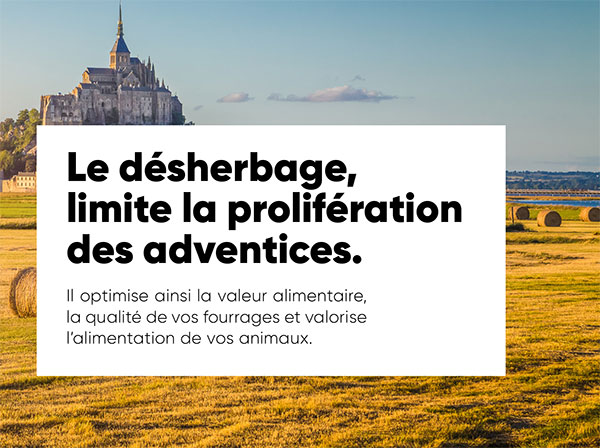 Le désherbage, aide à limiter la perte de graminées ou légumineuses.