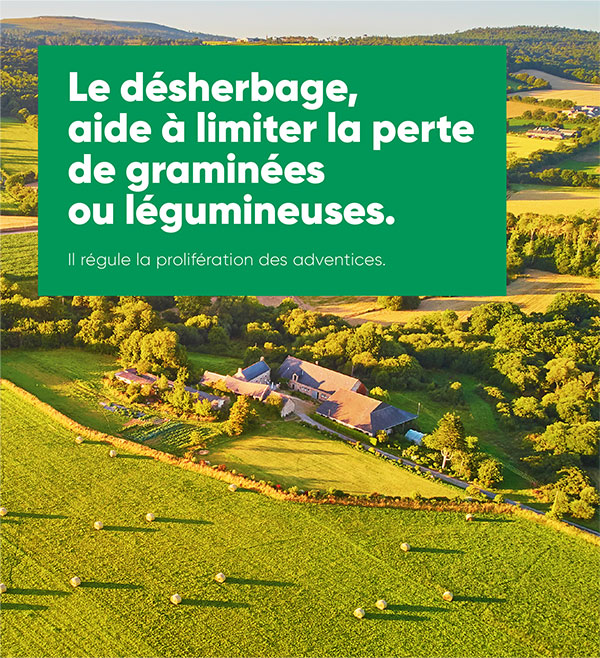 Le désherbage, aide à limiter la perte de graminées ou légumineuses.