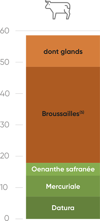 Intoxications bovins