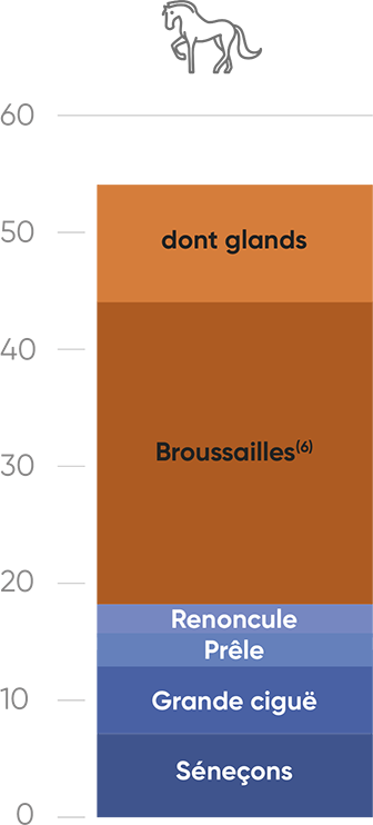 Intoxications equins