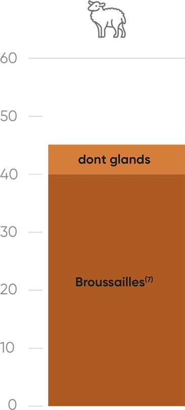 Intoxications ovins