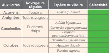 Typologie de sélectivité des auxiliaires