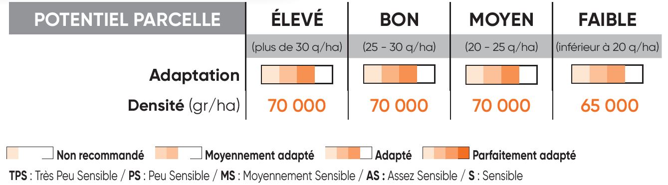 P8556 Potentiel Densité