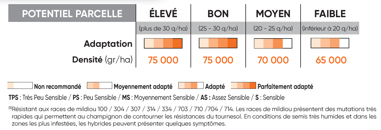 P8556 Potentiel Densité