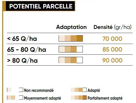 P8556 Potentiel Densité