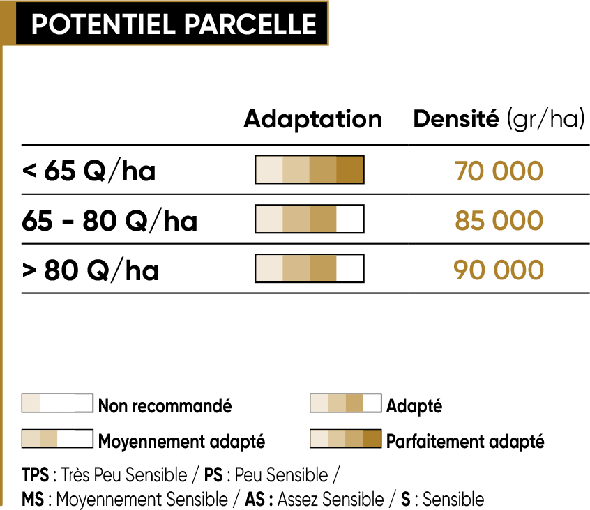 P8521 Potentiel Densité