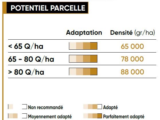 P8556 Potentiel Densité