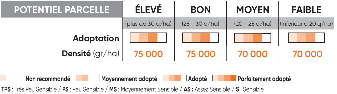 P8556 Potentiel Densité