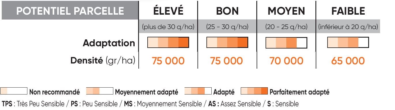 P8556 Potentiel Densité