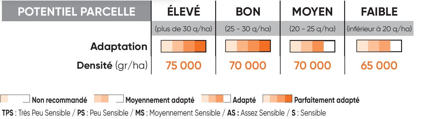 P8556 Potentiel Densité