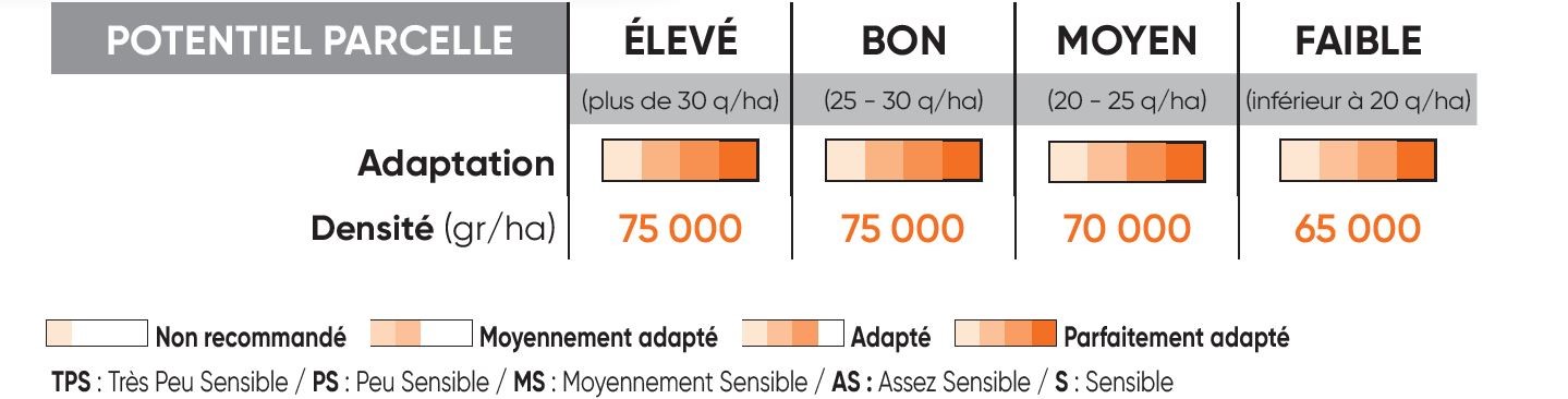 P8556 Potentiel Densité