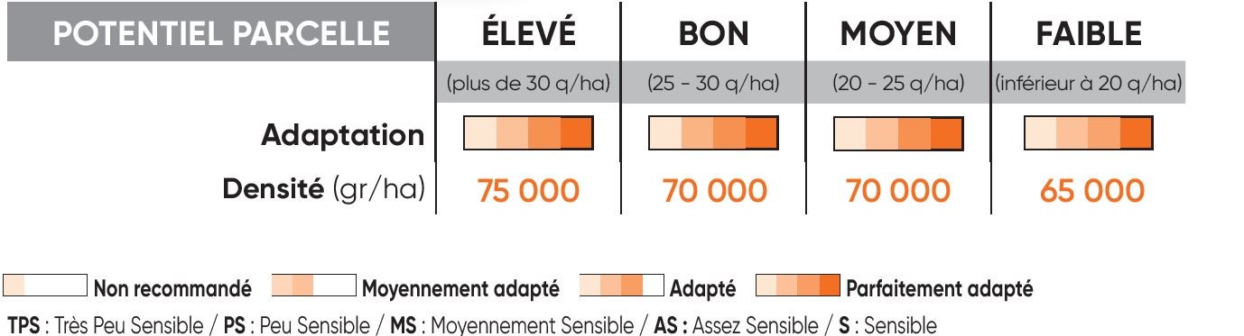 P8556 Potentiel Densité