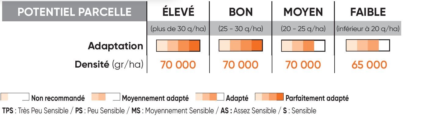 P8556 Potentiel Densité