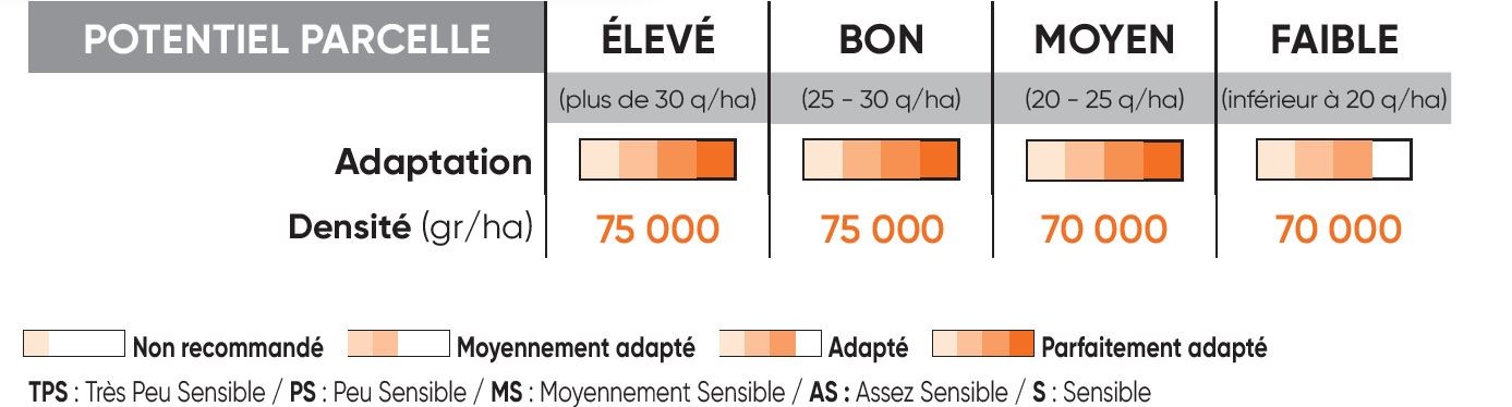 P8556 Potentiel Densité