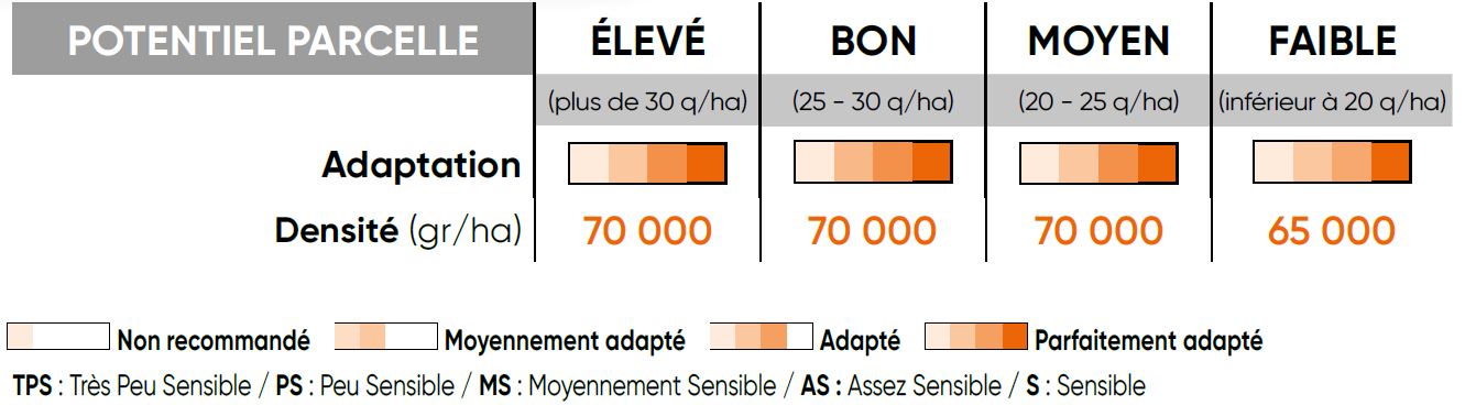 P8556 Potentiel Densité