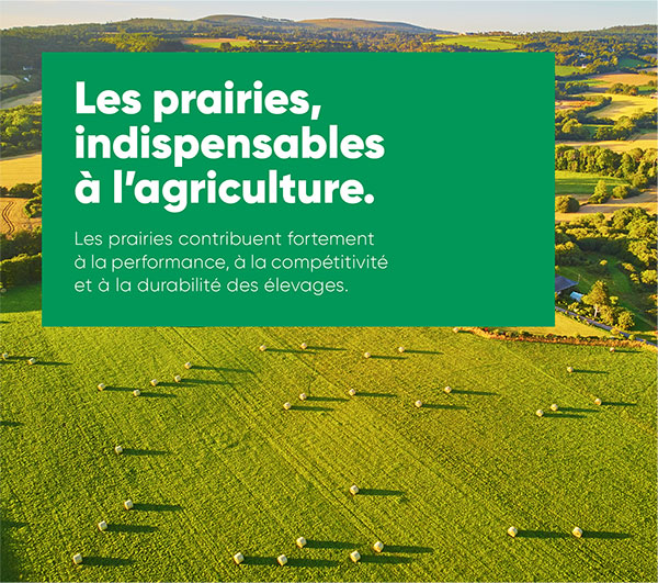 Les prairies, indispensable à l’agriculture