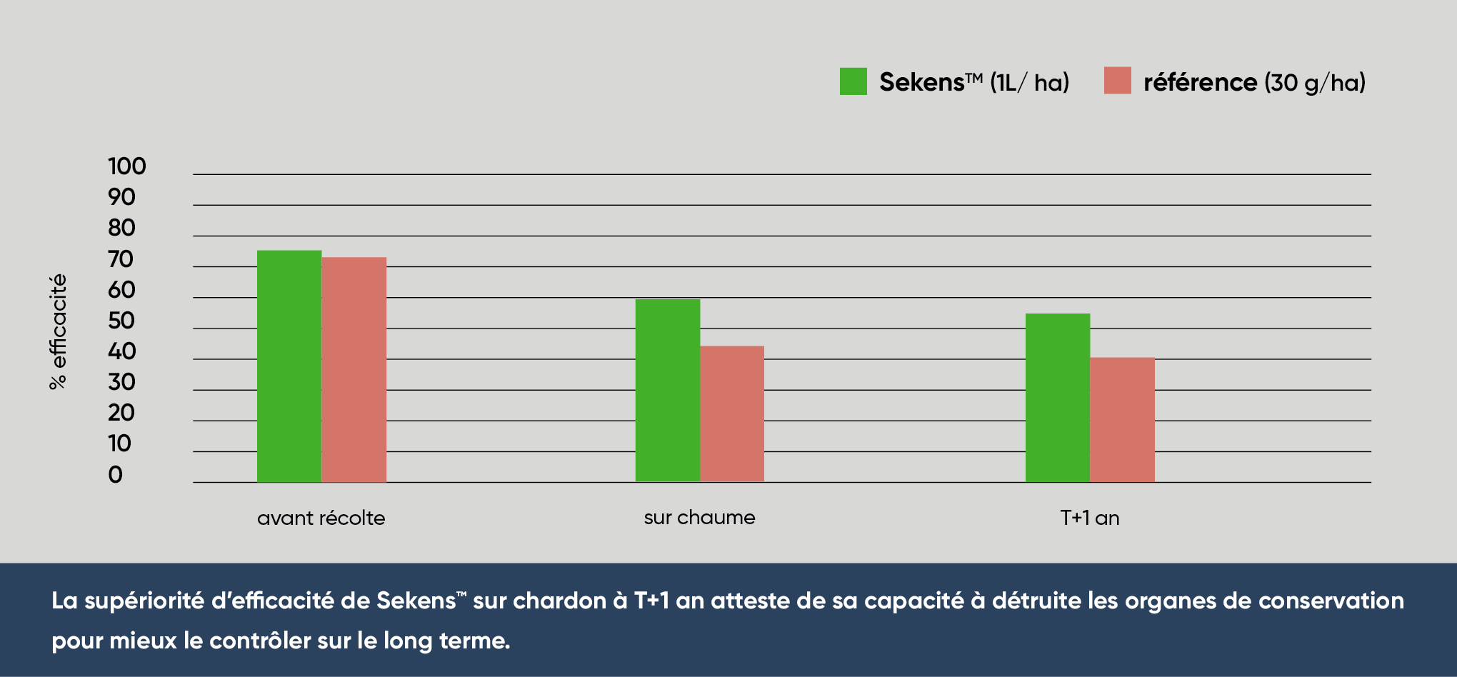 Comparaison de l'efficacité sur chardon