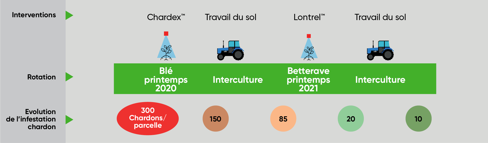 Infographique Essai Solutions