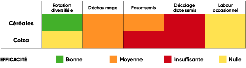 Forte capacité de reproduction et système racinaire puissant